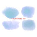 The Turtles - You Showed Me (Karaoke tribute version originally performed by The Turtles)