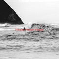 Fiona Apple - Please Please Please (Complete version originally performed by Fiona Apple)