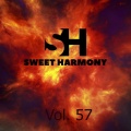 Magnetic Brothers - 8