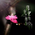 逸郁兰心 - 暮光里的青春