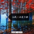 亦北晨、DJ宁宁 - 你是我爱而不得的心酸 (纯音乐)