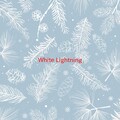 The Cadillac Three - White Lightning (Complete version originally performed by The Cadillac Three)