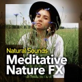 Meditative Nature FX
