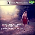 Biagio Lisanti、Elaic、Junior Paes - Wherever You Go (Radio Edit)