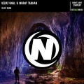 Vedat Unal、Murat Tarhan - In My Mind