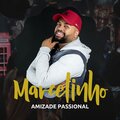 Amizade Passional(Ao Vivo)