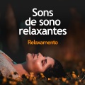 Relaxamento - Flanged Noise