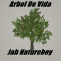skinny、Jah Natureboy - Dejame Tranquilo