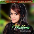 Zeemal Zaibi - Bassaka Eid