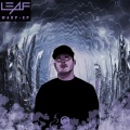 Leaf - Cosmic Thing