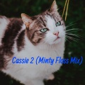 jay williams - Cassie 2 (Minty Floss Mix)