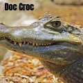 jay williams - Doc Croc