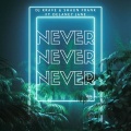 Never (Explicit)