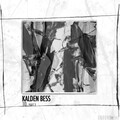 Bryan Chapman、Kalden Bess - Black Mirror