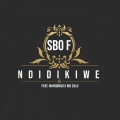 Ndidikiwe