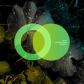 Wabe - Underground Activity