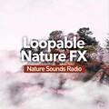 Nature Sounds Radio - Woodland Frog Croaks