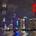 楠王 - 向身