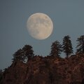 Geronimo、Ethan Peters-Sanipass、Ethan Peters Beats、C-Brazy、T.Geronimo、Carman Augustine、Teagan Copage - Elsi Reppin'