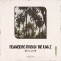 Reminiscing Through the Jungle