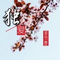 邪羽瞳 - 独爱