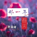 邪羽瞳 - 那一年的春天