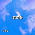 越南鼓 (DJ版)