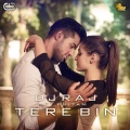 Tere Bin (Chorus)