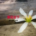 颜艺芸杰、肖肖 - 冥花台下