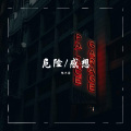 陈冬霖 - 感想