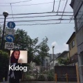 Kidog - 天蝎座