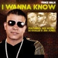 I Wanna Know (Remix|Explicit)(feat. DJ Khaled Ace Hood & Jim Jones版)