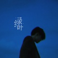 秃鹫三冈、莓仁爱 - 绿叶