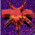 Saw、Pulse - Fire Starter