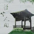 君尔 - 烟火人间