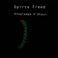 Knowledge D'Shaun - changing station