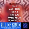 All We Know (feat. Ace Hood Bow Wow Fat Joe Ray J & Swizz Beatz)(Clean Version/ No Curses)