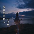 陈兴凡 - 你曾辜负的人