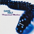 David Holt - One Seam At A Time