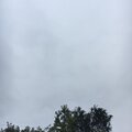 YoungXodu$ - MindOverMatter (Explicit)