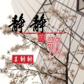 王帅帅 - 静静的歌