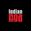 Aditya Rao、Mahesh Raghvan、IndianRaga Fellows、Vinod Krishnan、Indianraga、Ed Sheeran - Shape of You - Abheri - Shudha Dhanyasi - Adi Tala (Carnatic Mix)