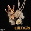 Check-in (feat. Don Q)(Explicit)