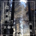 吴琬 - 你是葬了我的坟