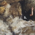 Carlos Nino、Photay、Laraaji、Carlos Niño & Friends、Friends - Forest Pulse