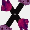 RiZZ、Bruce Lii - Big Dog Heavy Heart (Explicit)
