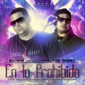 En Lo Prohibido (feat. Carlitos Rossy)