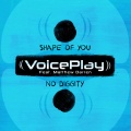 VoicePlay、Matthew Darren - Shape of You No Diggity (feat. Matthew Darren)