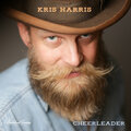 Charlie McCoy、Micah Hulscher、Chris Scruggs、Dave Coleman、Kris Harris - You'd Be in Trouble
