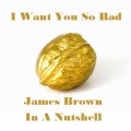 James Brown and The Famous Flames - I Want You so Bad
